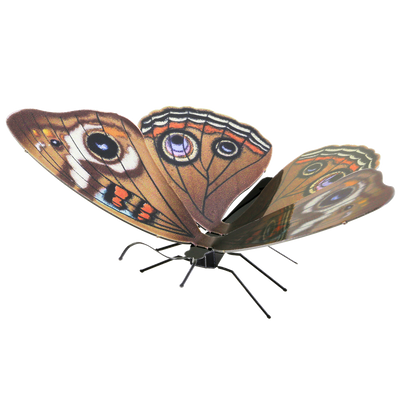 3D Jigsaw Puzzles, Metal Earth: Butterfly Buckeye