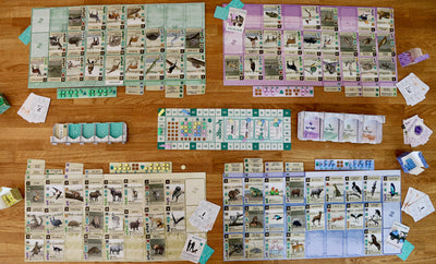 Board Games, Kavango