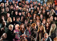 Ravensburger: Harry Potter Challenge 1000pc Puzzle