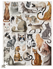 Crocodile Creek: Cat Breeds 200pc Puzzle