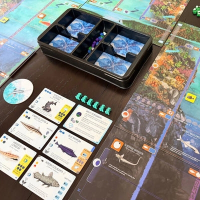 All Products, Finspan: Sharks & Reefs