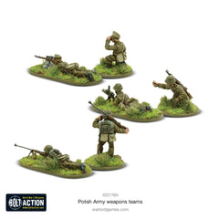 Polish Army Weapons Team