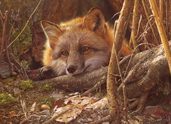 Cobble Hill: A Touch of Warmth 500pc Puzzle