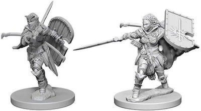Miniatures, Pathfinder Battles Deep Cuts: Human Female Paladin