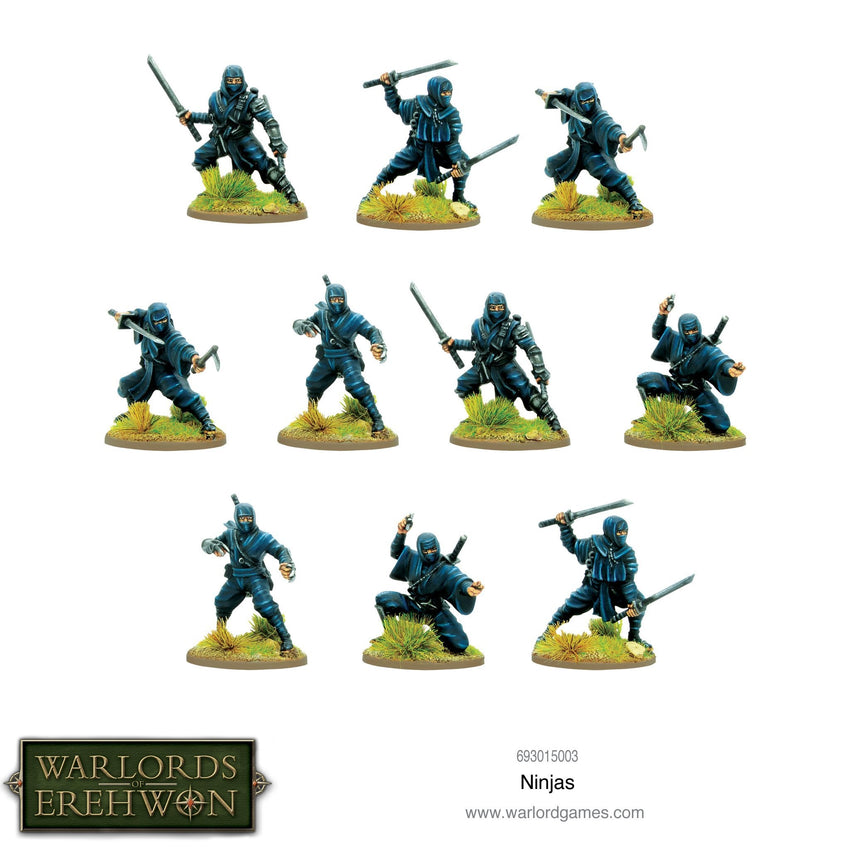 Warlords of Erehwon: Ninjas