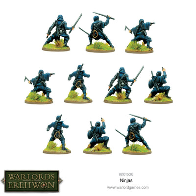 All Products, Warlords of Erehwon: Ninjas