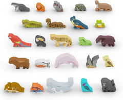 Life of the Amazonia Meeple Set