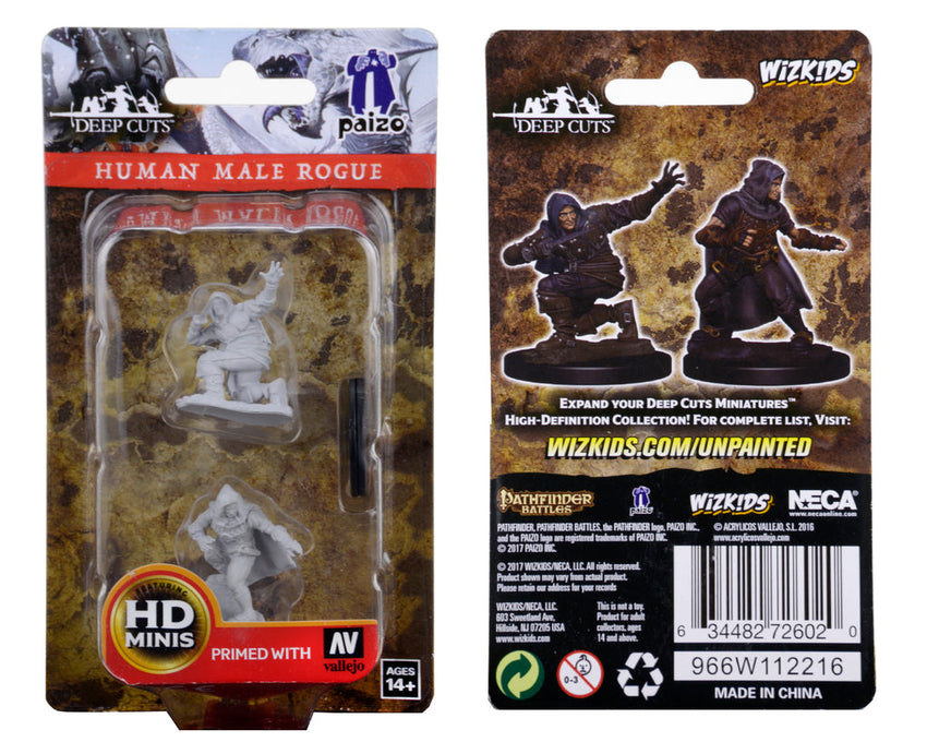 Pathfinder Deep Cuts Unpainted Miniatures: Human Male Rogue