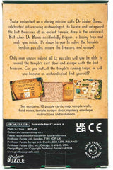 Professor Puzzle: Escape from the Lost Temple