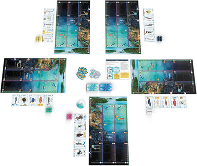 Board Games, Finspan