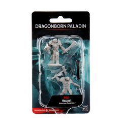 D&D Nolzur's Marvelous Miniatures: Male Dragonborn Paladin