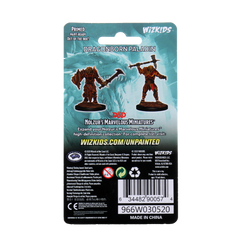 D&D Nolzur's Marvelous Miniatures: Male Dragonborn Paladin