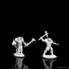 D&D Nolzur's Marvelous Miniatures: Male Dragonborn Paladin