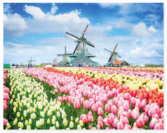 Mindbogglers: Dutch Windmills Netherlands 1000pc Puzzle