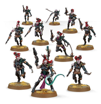 Miniatures, Drukhari: Wyches