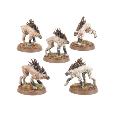 Miniatures, T'au Empire: Kroot Hounds