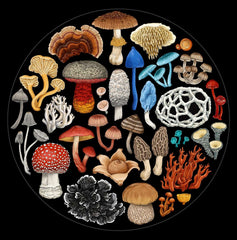 Wolfkamp & Stone: Fungi 1000pc Round Puzzle