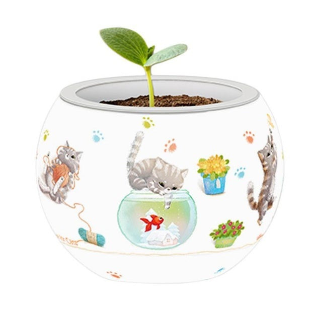 Flowerpot Cats Playtime