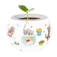 Flowerpot Cats Playtime