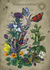 Ravensburger: Life Circle of the Butterfly 1000pc Puzzle