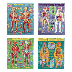 eeBoo: Ready to Learn – Human Anatomy 48pc 4-Puzzle Set