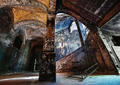Ravensburger: Lost Places Alpenhaus Graffito 1000pc Puzzle