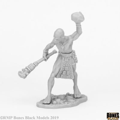 Role Playing Games, Stone Giant Guard