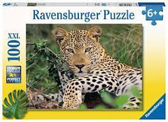 Lounging Leopard 100PC