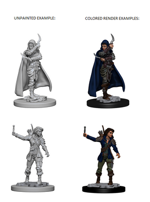 Role Playing Games, Pathfinder Battles Deep Cuts Unpainted Miniatures: Human Female Rogue