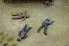 DMH Outlaw Casualties