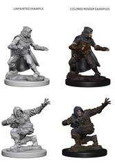 Pathfinder Deep Cuts Unpainted Miniatures: Human Male Rogue