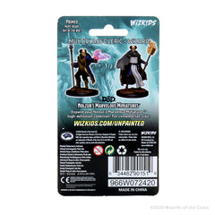 D&D Nolzur's Marvelous Miniatures: Multiclass Cleric + Wizard Male