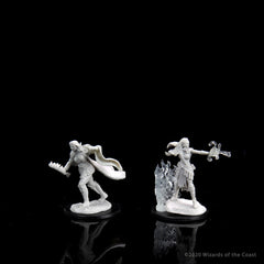 D&D Nolzur's Marvelous Miniatures: Multiclass Warlock and Sorcerer Female
