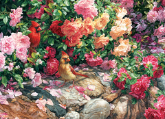 The Garden Wall Compact Puzzle 1000pc