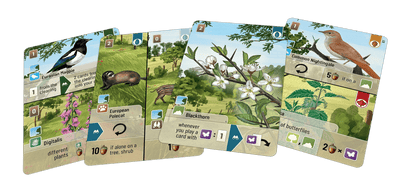 All Products, Forest Shuffle: Woodland Edge Expansions