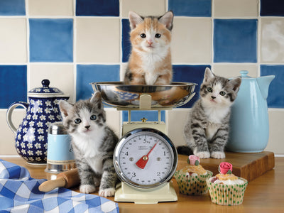 Jigsaw Puzzles, Ravensburger: Kittens in the Kitchen 1500pc Puzzle