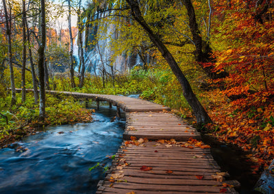 Jigsaw Puzzles, Ravensburger: Autumnal Forest Path 1000pc Puzzle