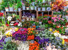 Ravensburger: Flower Market France 500pc Puzzle