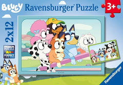 Fun with Bluey 2x12PC