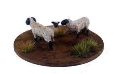 Dead Man's Hand: A Flock of Sheep