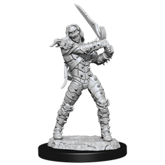 D&D Nolzur's Marvelous Miniatures: Wight & Ghast