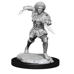 Magic the Gathering Unpainted Miniatures: Kaya