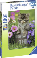 Kitten Among the Flowers 100PC XXL