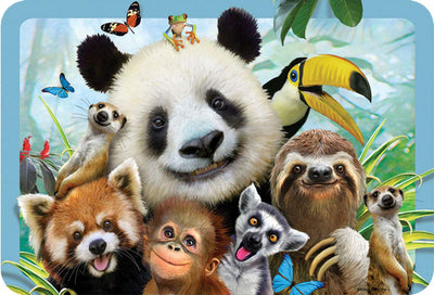 Accessories, 3D Panda & Friends Placemat