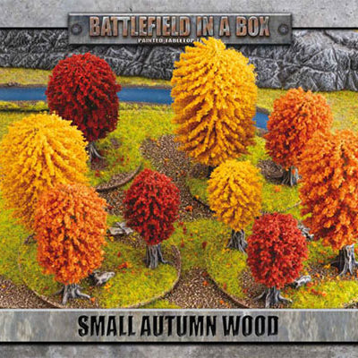 Terrain, Small Autumn Wood