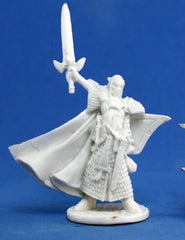 Turanil Male Elf Paladin
