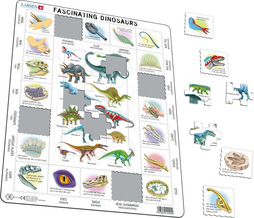Fascinating Dinosaurs