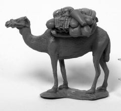 Camel with Pack