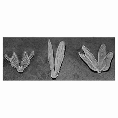 Clear Wings x3